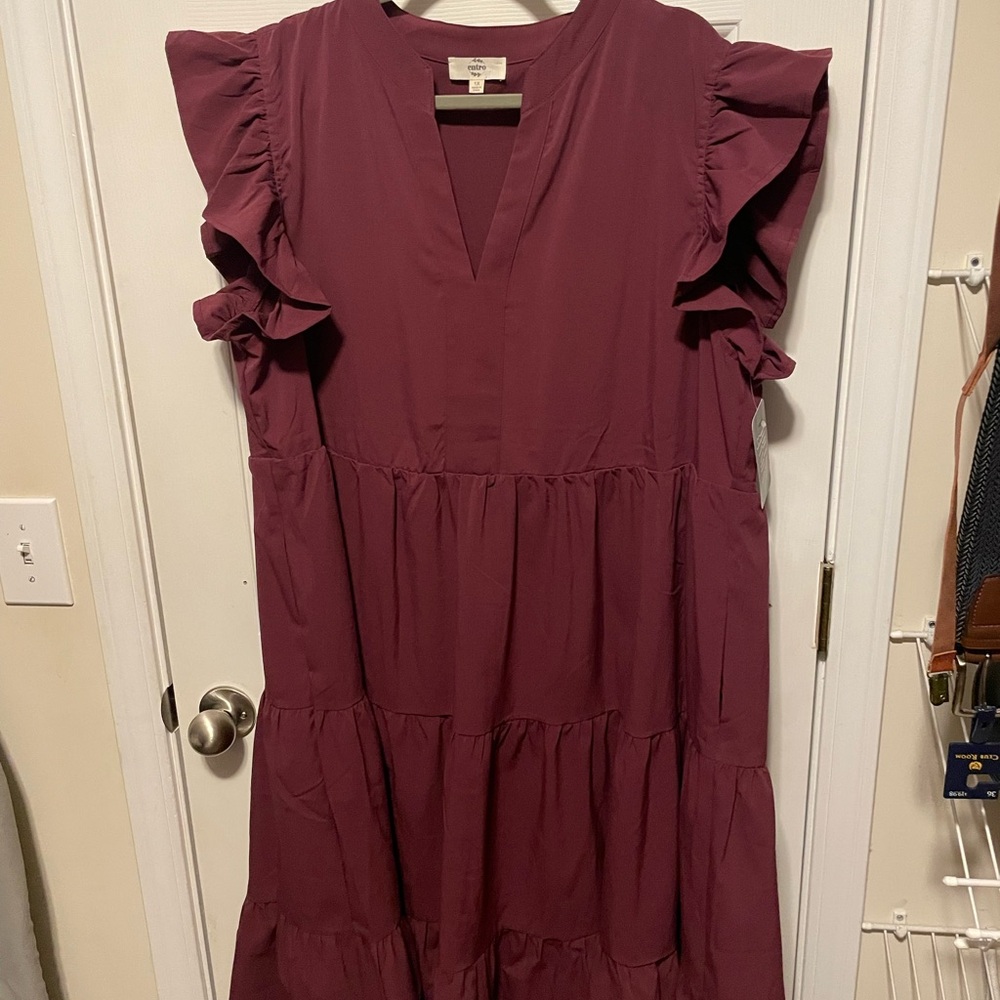 Entro Elegant Ruffled Plum Dress